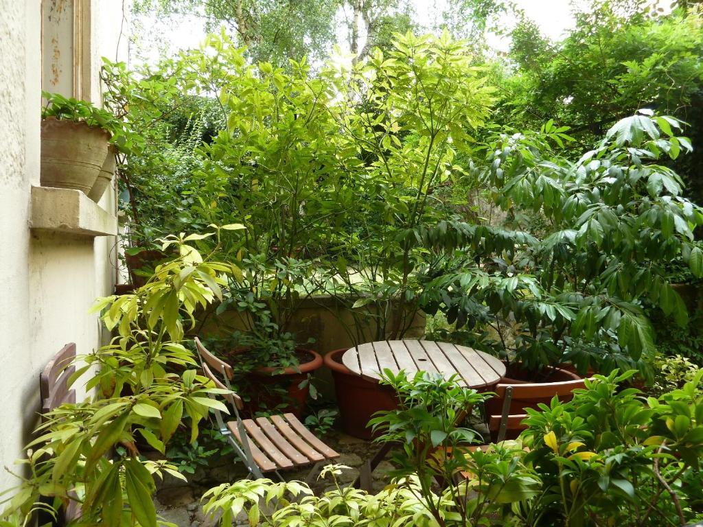 Appartement 1 Chambre