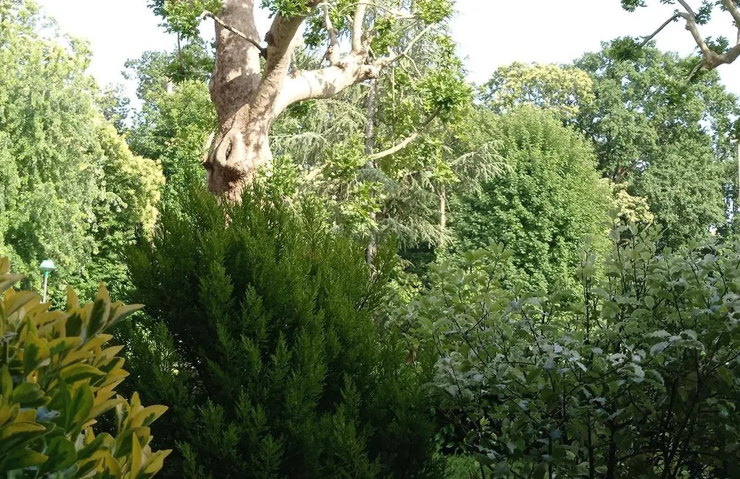 Homestay B&B La Bruyere Chez L'Habitant-1